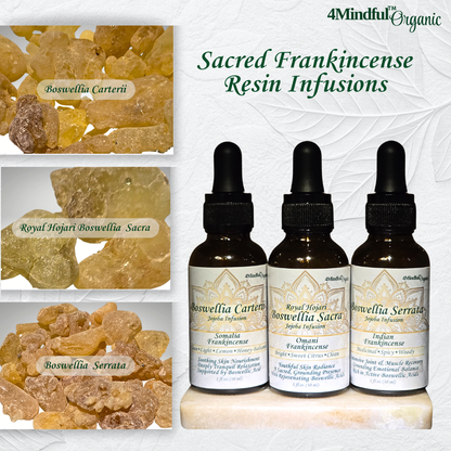 Three bottles of 3 different Sacred Frankincense Resin Infusions with resin samples on a white background.