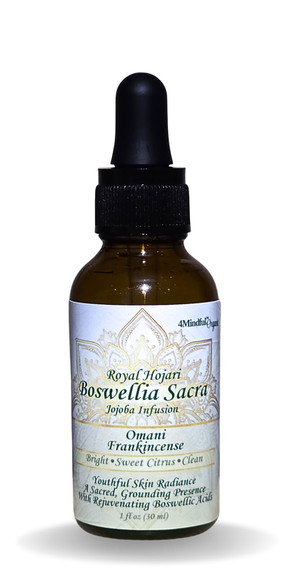 Sacred Frankincense Resin Infusion 1oz natural wellness product