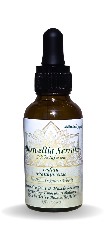 Sacred Frankincense Resin Infusion 1oz natural wellness product